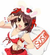 christmas safe suzumiya_haruhi // 438x479 // 41.4KB